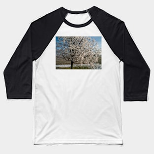 Winter Scene - Frosted Tree Baseball T-Shirt